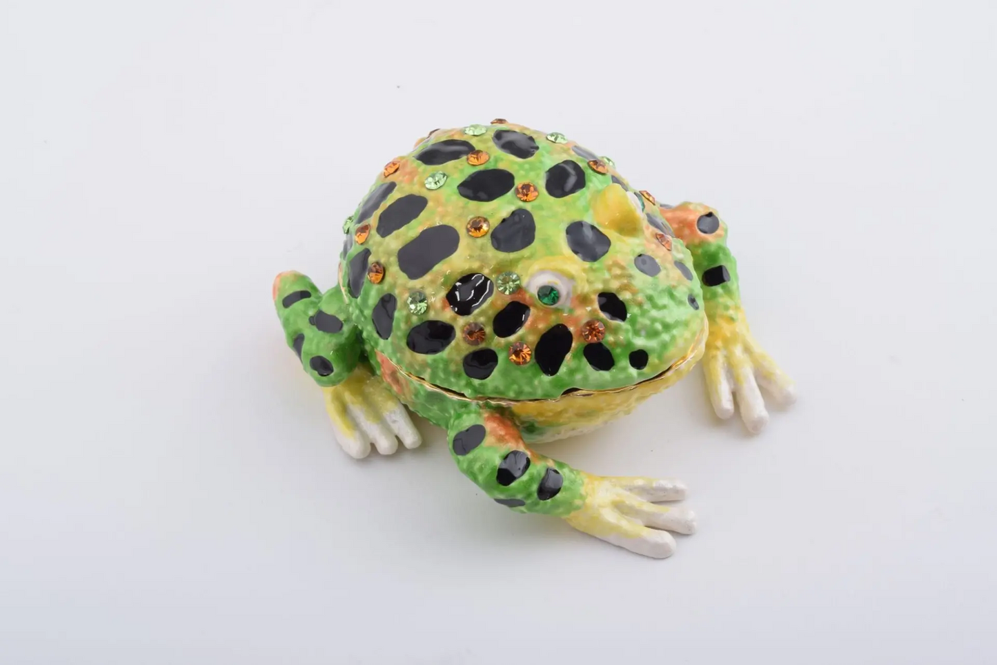 Black Spotted Toad