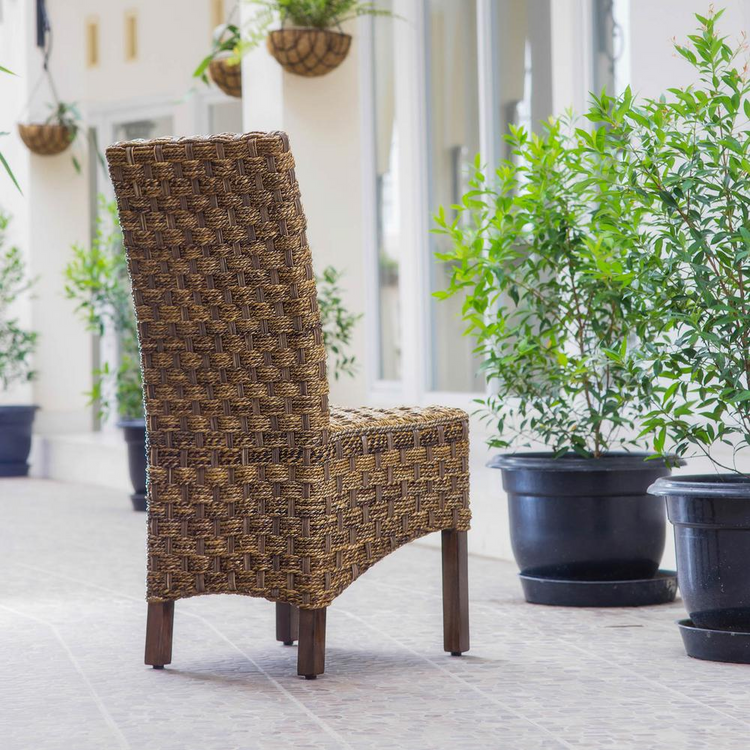 a chair and potted plants