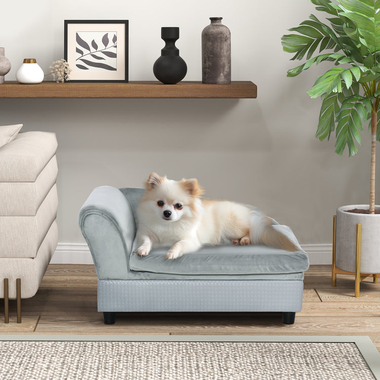 a dog lying on a small chair