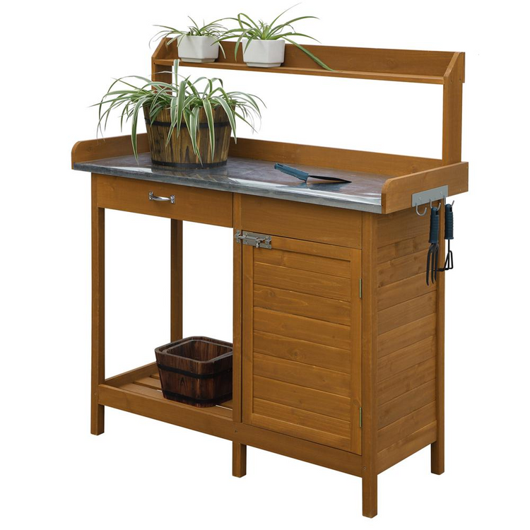 a potted plants on a wooden table