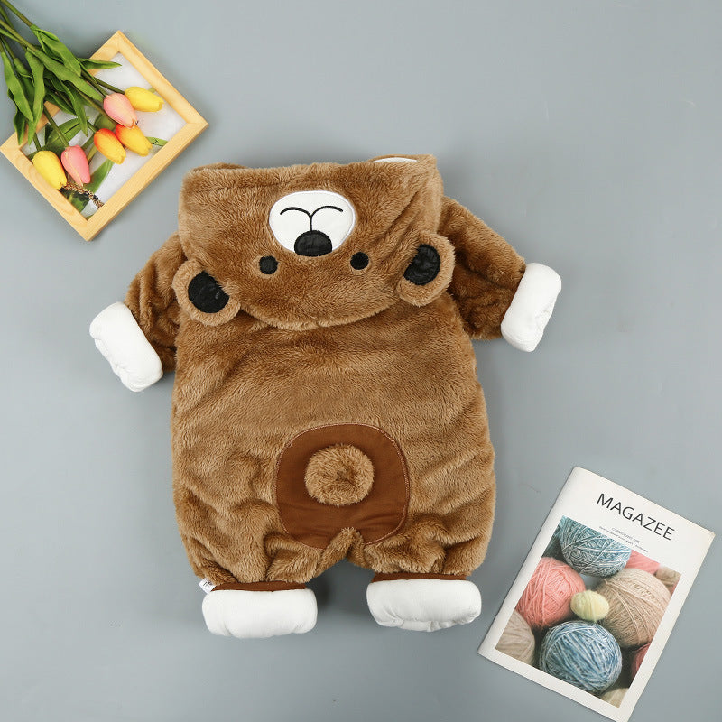 a stuffed bear with a picture and a magazine
