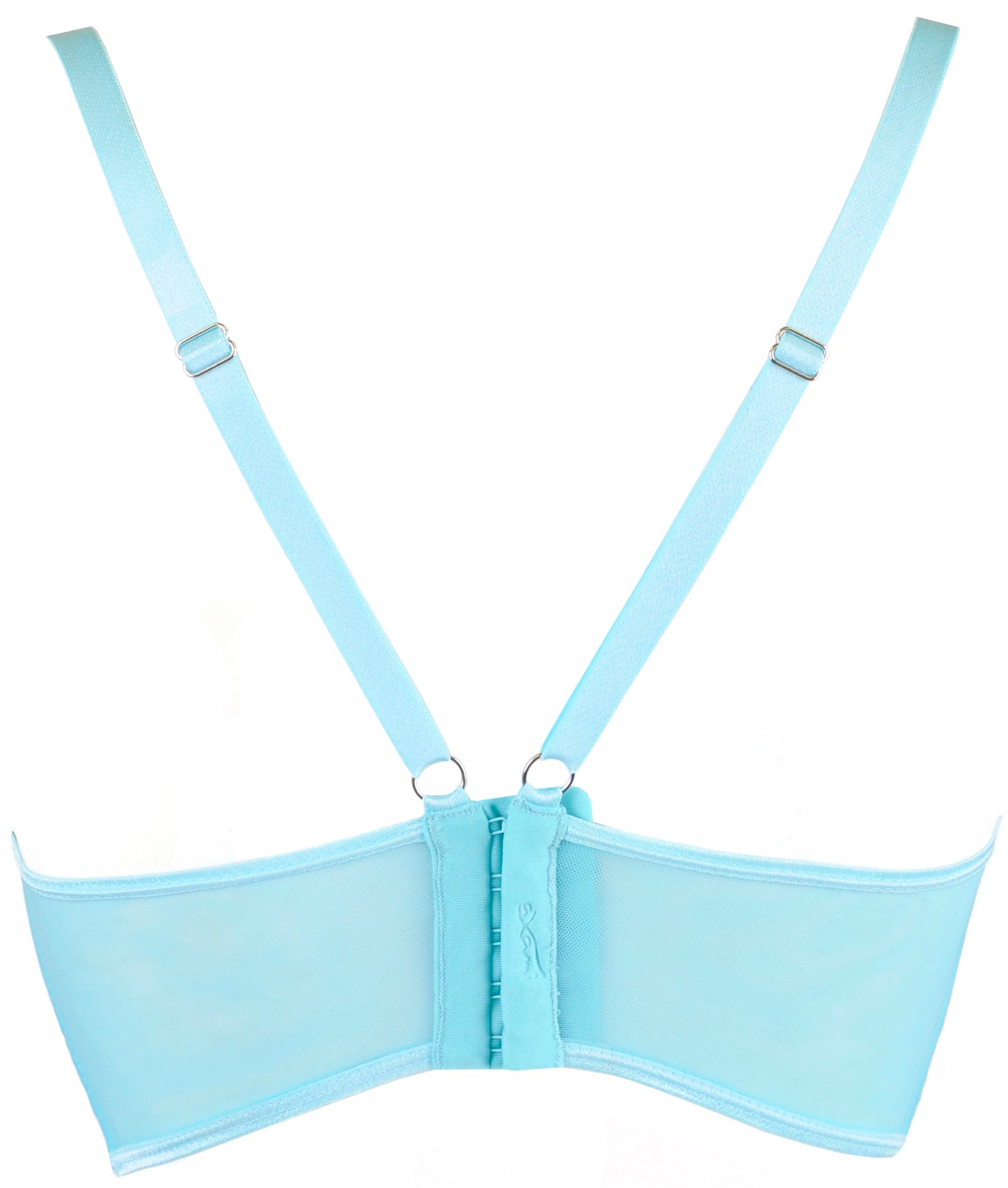 Sexy Sheer Deep Plunge Bra Axami Alice