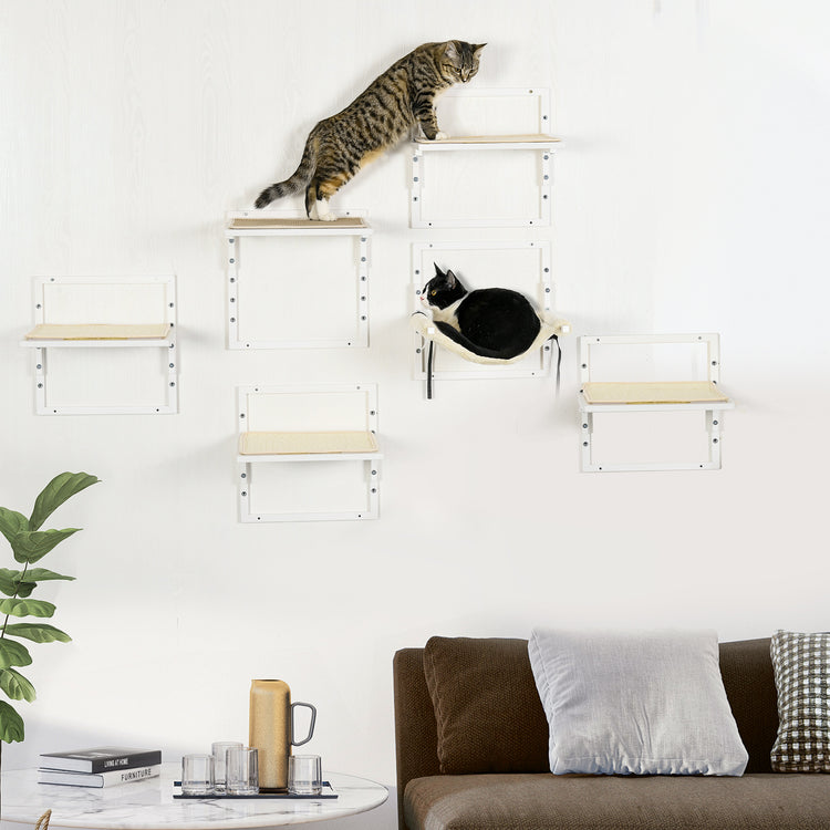 a cat climbing on shelves