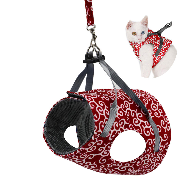 a cat on a leash