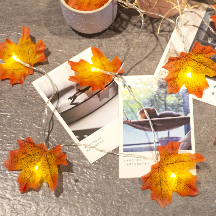a string of lights and pictures on a table
