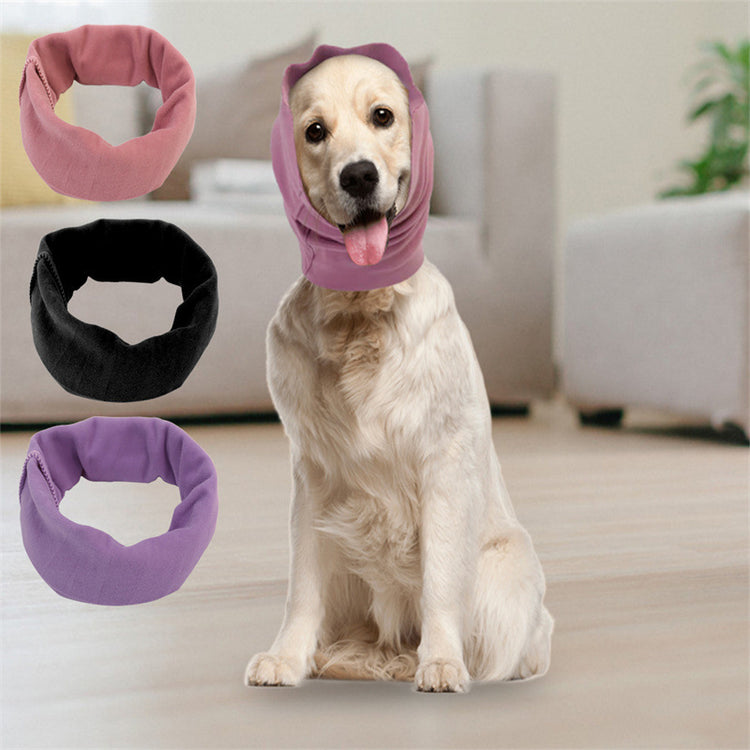 a dog with a headband on its head