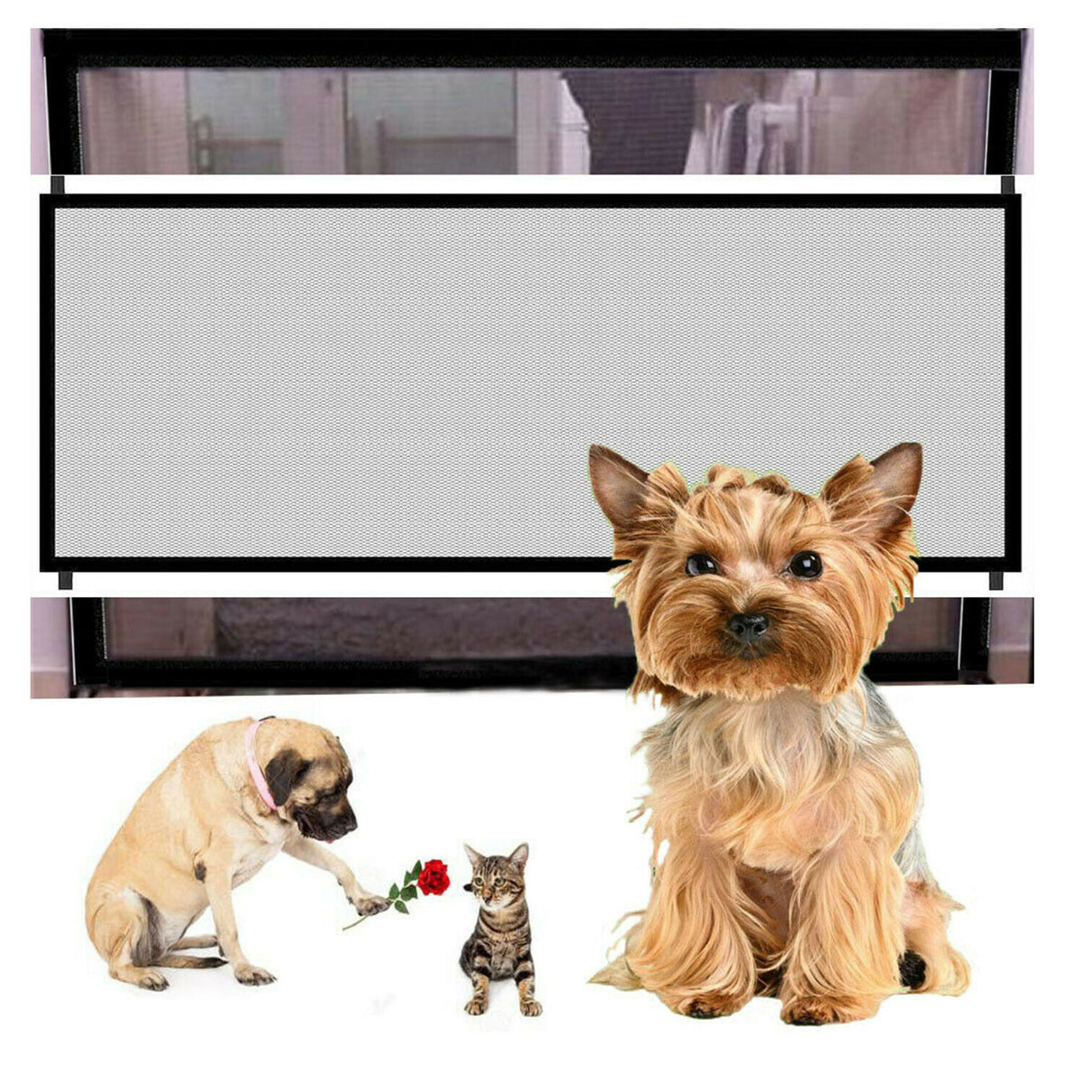 a dog and cat in front of a screen