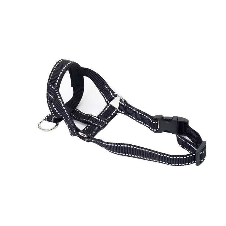 a black and white dog harness