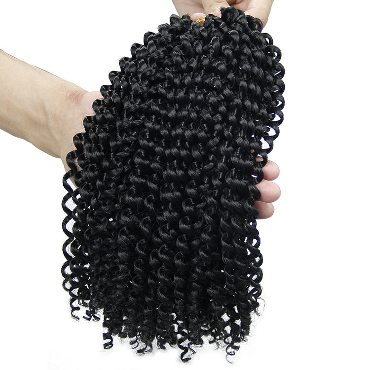 a hand holding a curly black hair