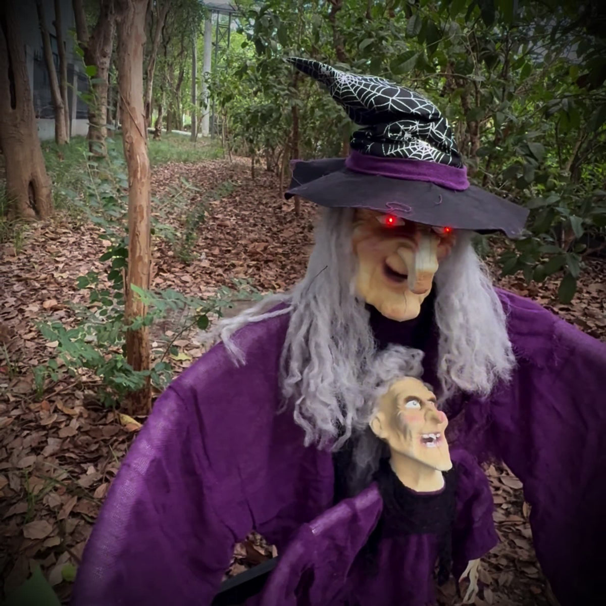 a person in a purple robe and hat