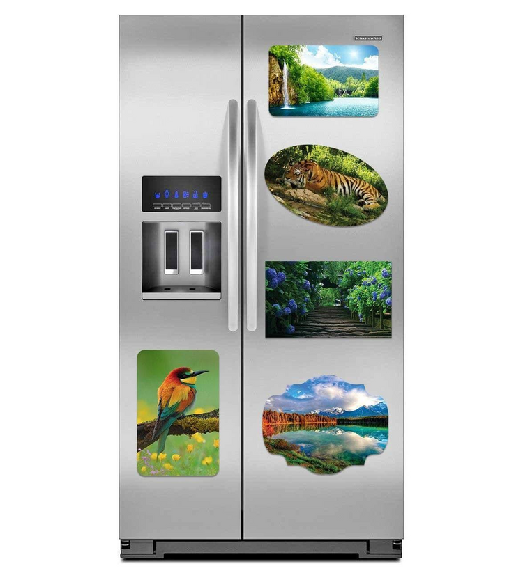 a refrigerator with pictures on it