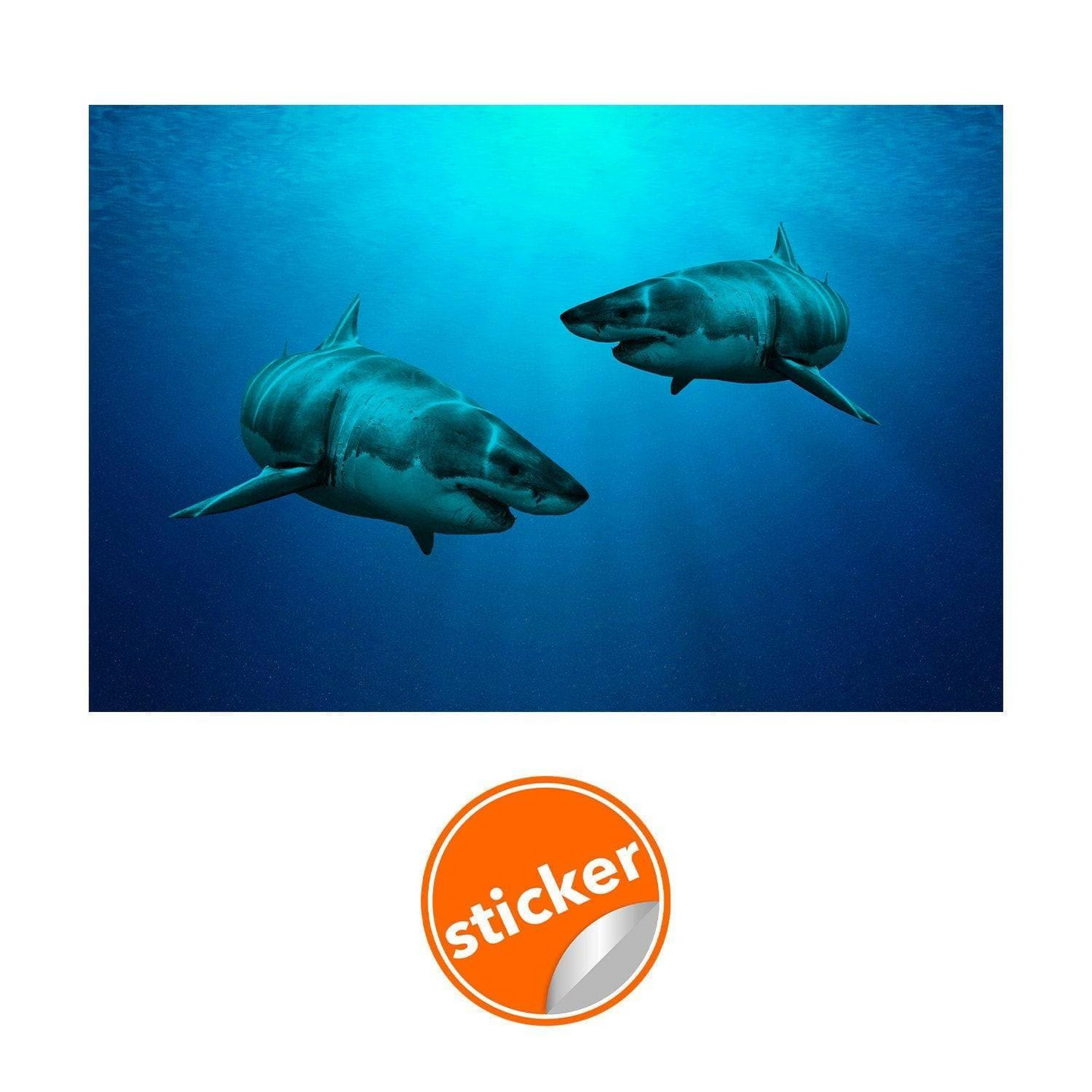 Wallpaper Shark Decor Sticker - 3d Underwater Ocean Wall Stickers Removable Decal - Under Sea Home Bedroom Adhesive Decorations Art Mural
