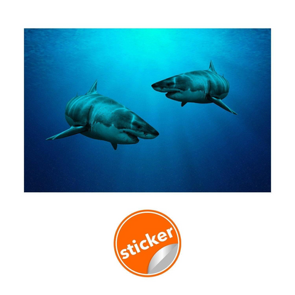 Wallpaper Shark Decor Sticker - 3d Underwater Ocean Wall Stickers Removable Decal - Under Sea Home Bedroom Adhesive Decorations Art Mural
