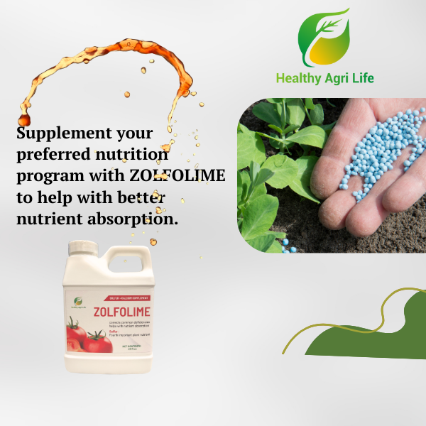 Zolfolime - Sulfur Lawn and Plant Food Liquid - Soil Loosener and Conditioner- Great for Compact Soils, Standing Water, Poor Drainage