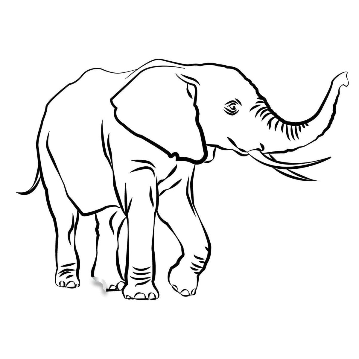 Elephant Stickers - Cute Vinyl Wall Animal Decal - Decor Nursery Sticker - Art Tribal Decorative Gift Wallsticker Safari Trunk Up Decals