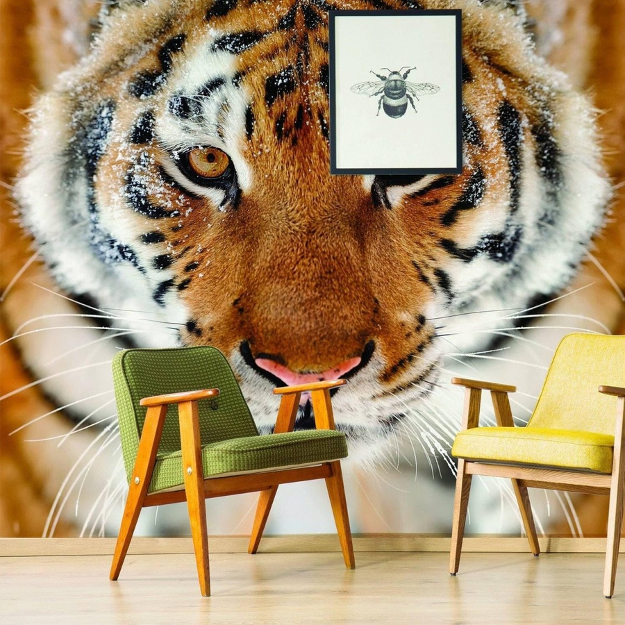 Wallpaper & Wallpapering Supplies