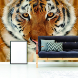 Stylish Wall Decal Tiger Design: Upgrade Your Space with Exotic Elegance!
