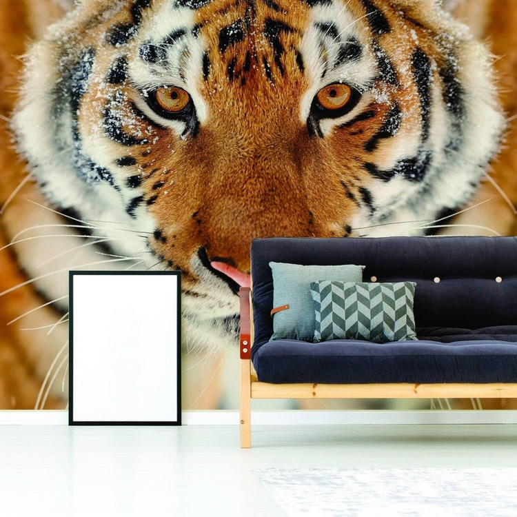 a couch and a picture frame