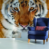 Stylish Wall Decal Tiger Design: Upgrade Your Space with Exotic Elegance!