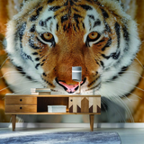 Stylish Wall Decal Tiger Design: Upgrade Your Space with Exotic Elegance!