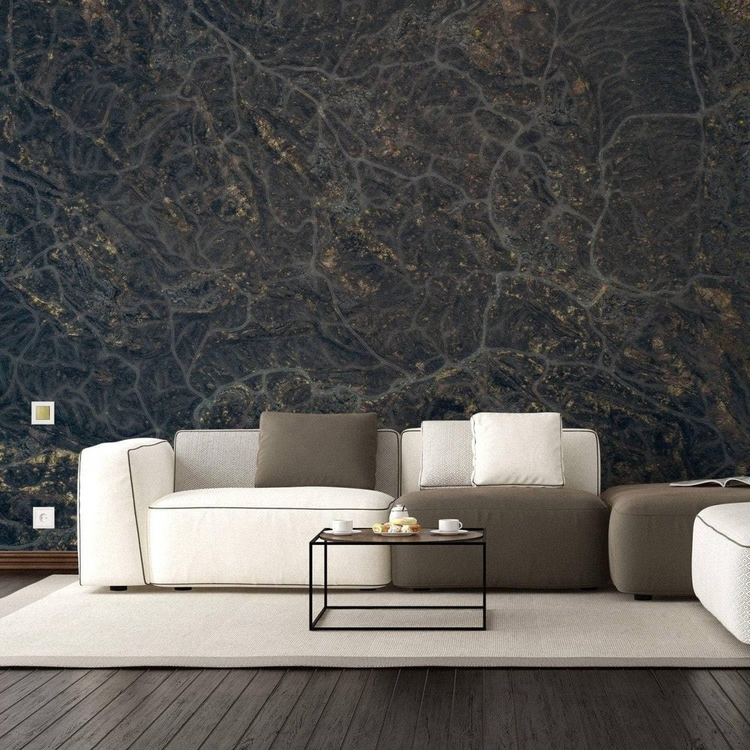 a couches in a room