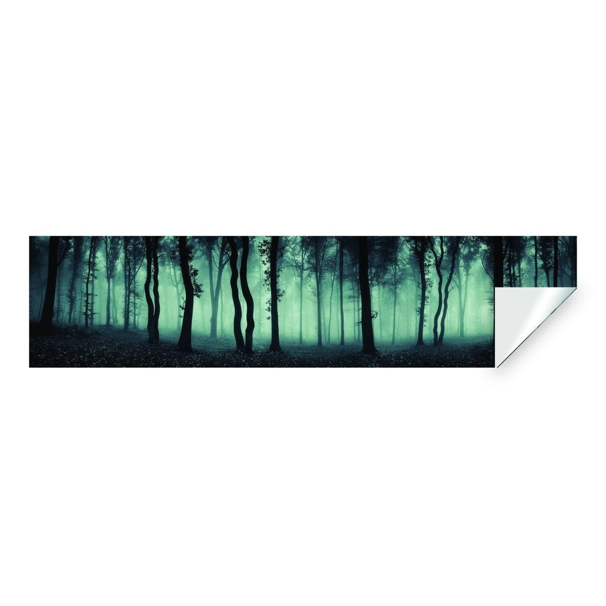 a close-up of a forest
