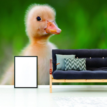 Duck Wallpaper Vinyl Decal Decor - Home Bedroom Peel And Stick Removable Art Wall Paper Sticker - Cute Adhesive Room Decoration Deco
