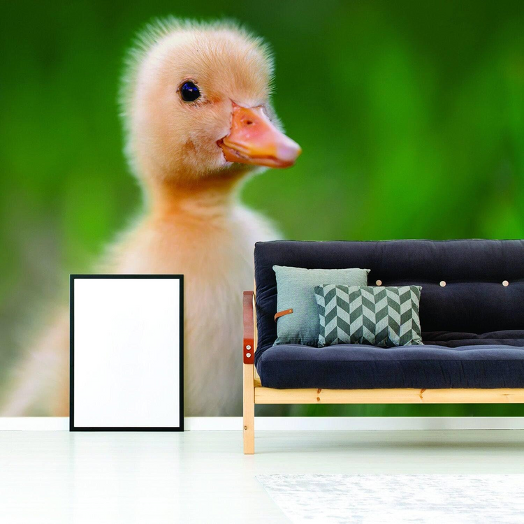 a duckling on a wall