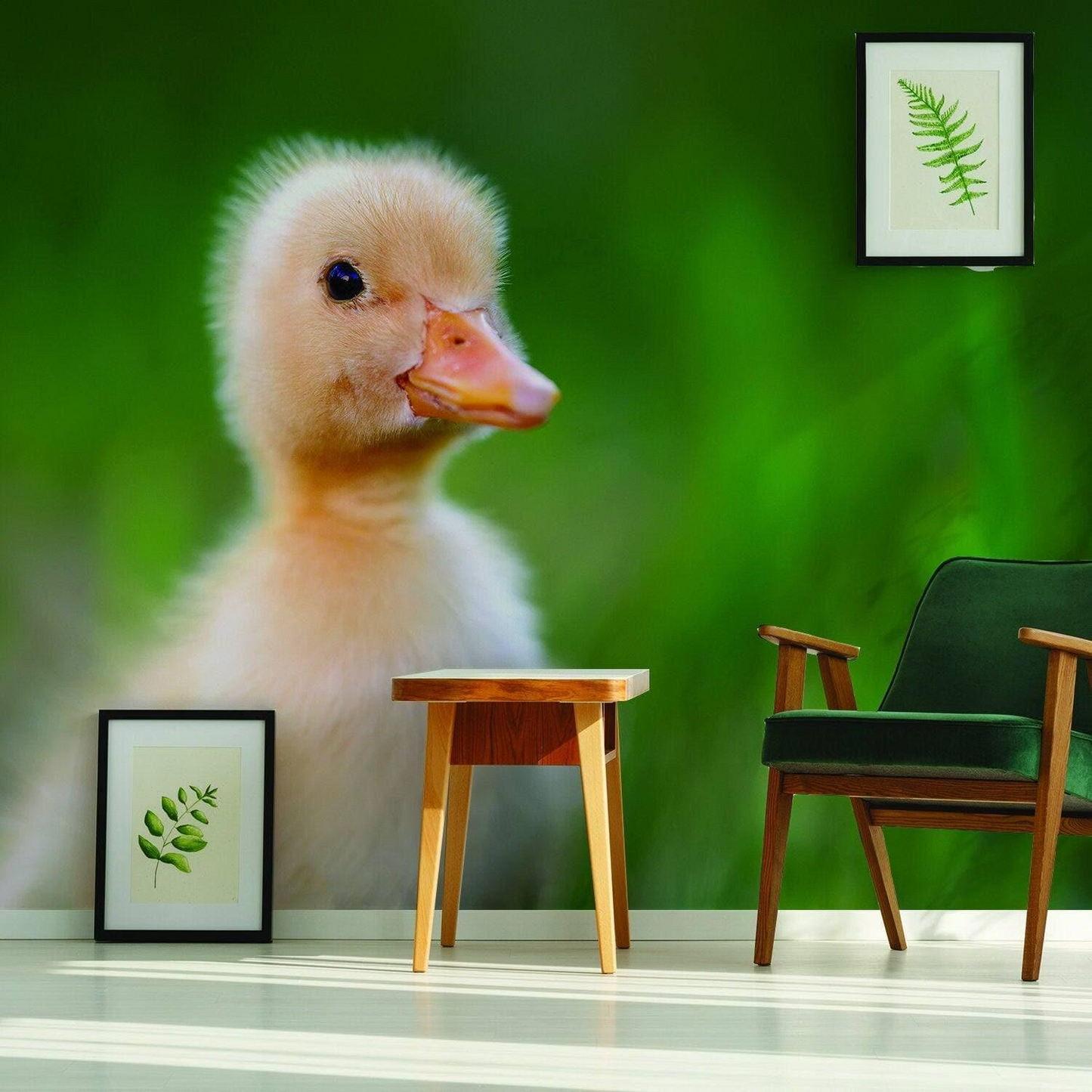 Duck Wallpaper Vinyl Decal Decor - Home Bedroom Peel And Stick Removable Art Wall Paper Sticker - Cute Adhesive Room Decoration Deco