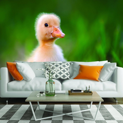 Duck Wallpaper Vinyl Decal Decor - Home Bedroom Peel And Stick Removable Art Wall Paper Sticker - Cute Adhesive Room Decoration Deco