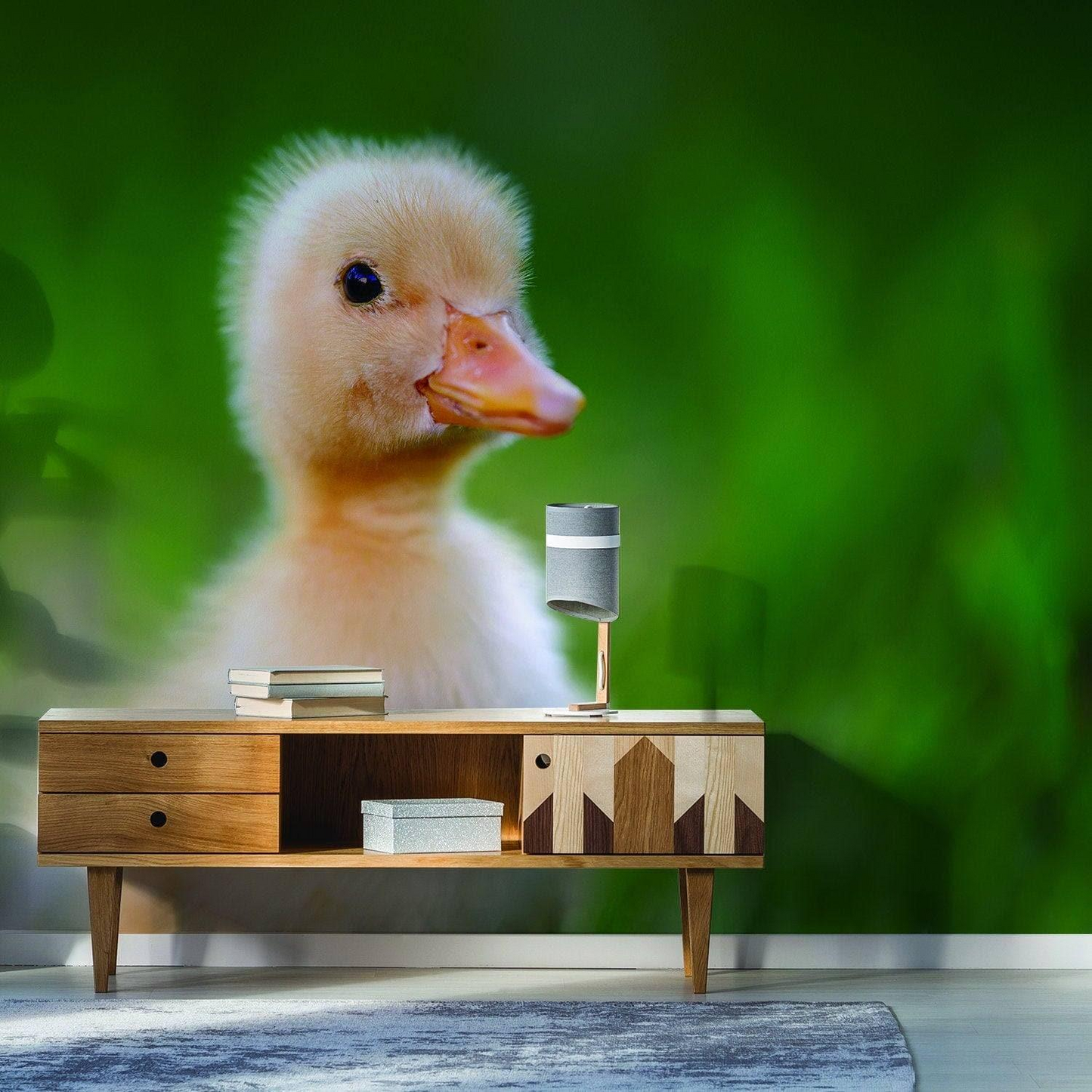 Duck Wallpaper Vinyl Decal Decor - Home Bedroom Peel And Stick Removable Art Wall Paper Sticker - Cute Adhesive Room Decoration Deco
