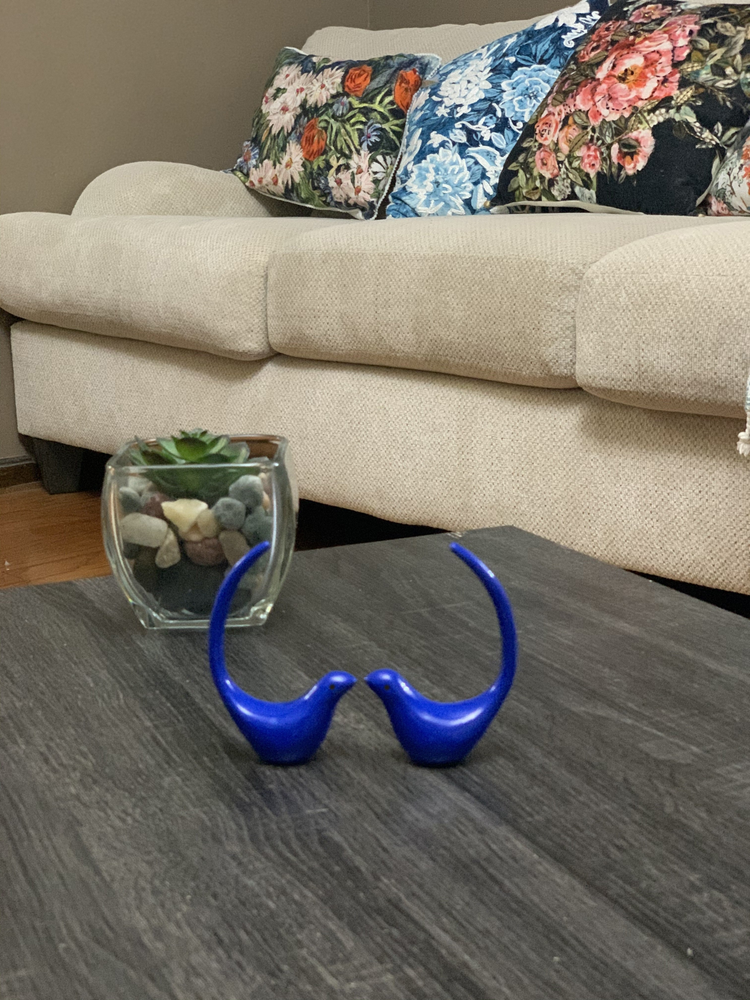a blue birds on a table