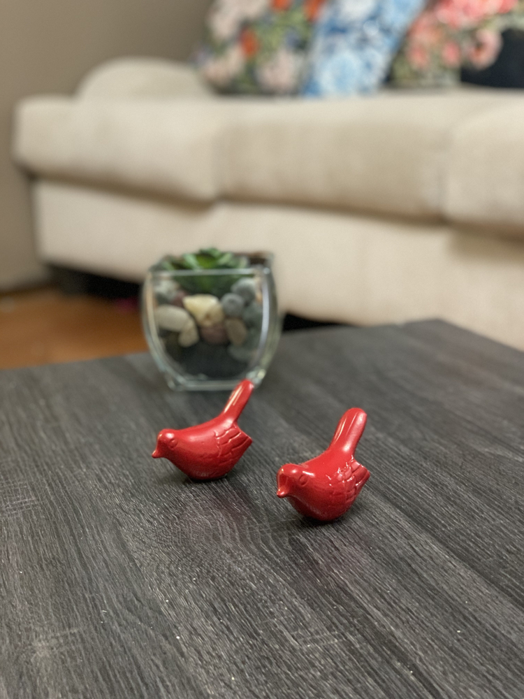 a pair of red birds on a table