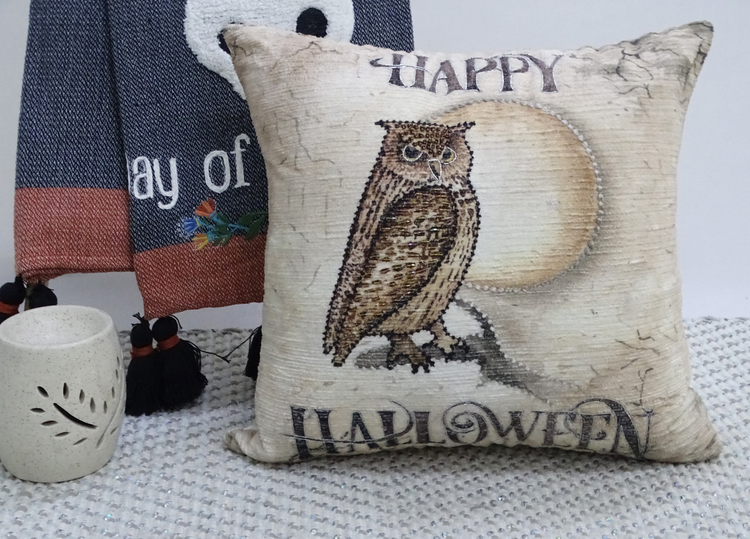 a pillow with an owl on it