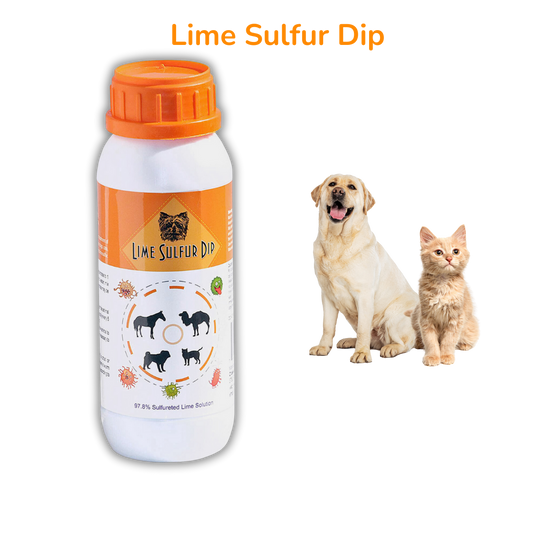 Healthy Paw Life Skin & Coat Care Combo - Lime Sulfur Dip 16 oz + Antiparasitic & Antiseborrheic Dog Shampoo 16 oz