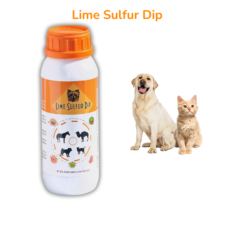 a cat and dog next to a bottle of liquid