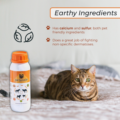 Healthy Paw Life Skin & Coat Care Combo - Lime Sulfur Dip 16 oz + Antiparasitic & Antiseborrheic Dog Shampoo 16 oz