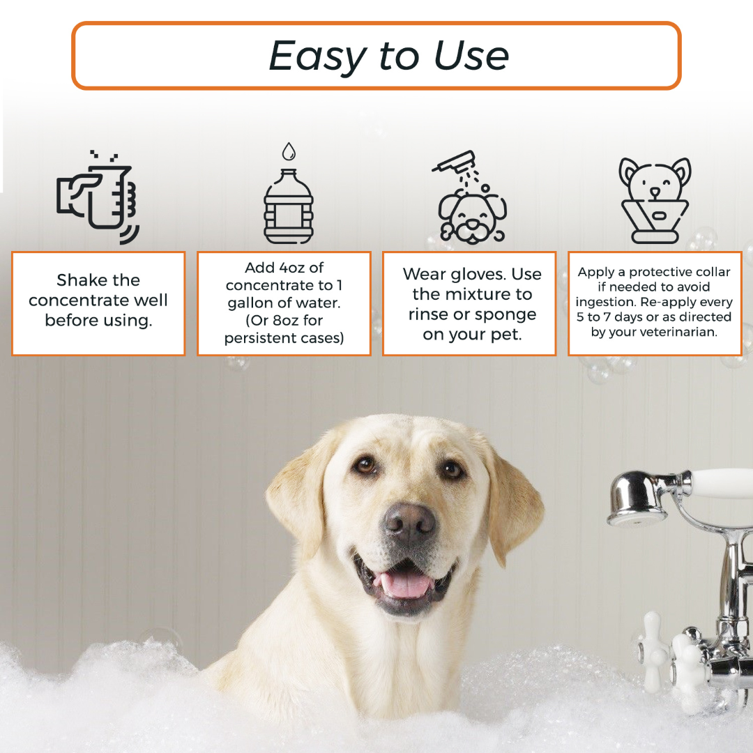 Healthy Paw Life Skin & Coat Care Combo - Lime Sulfur Dip 16 oz + Antiparasitic & Antiseborrheic Dog Shampoo 16 oz