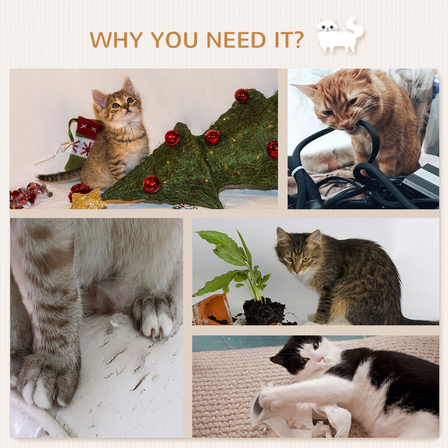 Cat Shelves for Indoor Cats