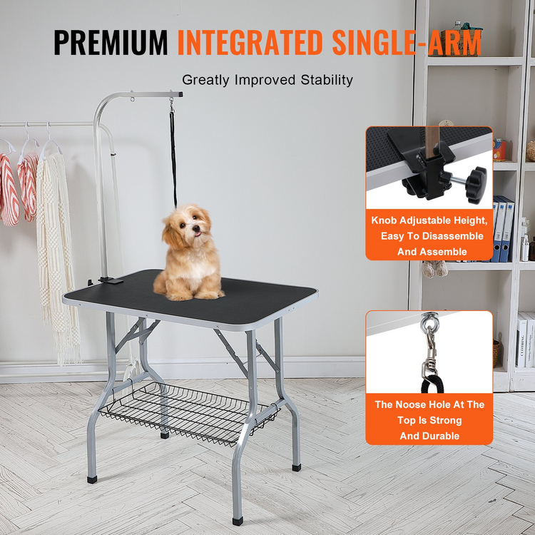 a dog sitting on a table