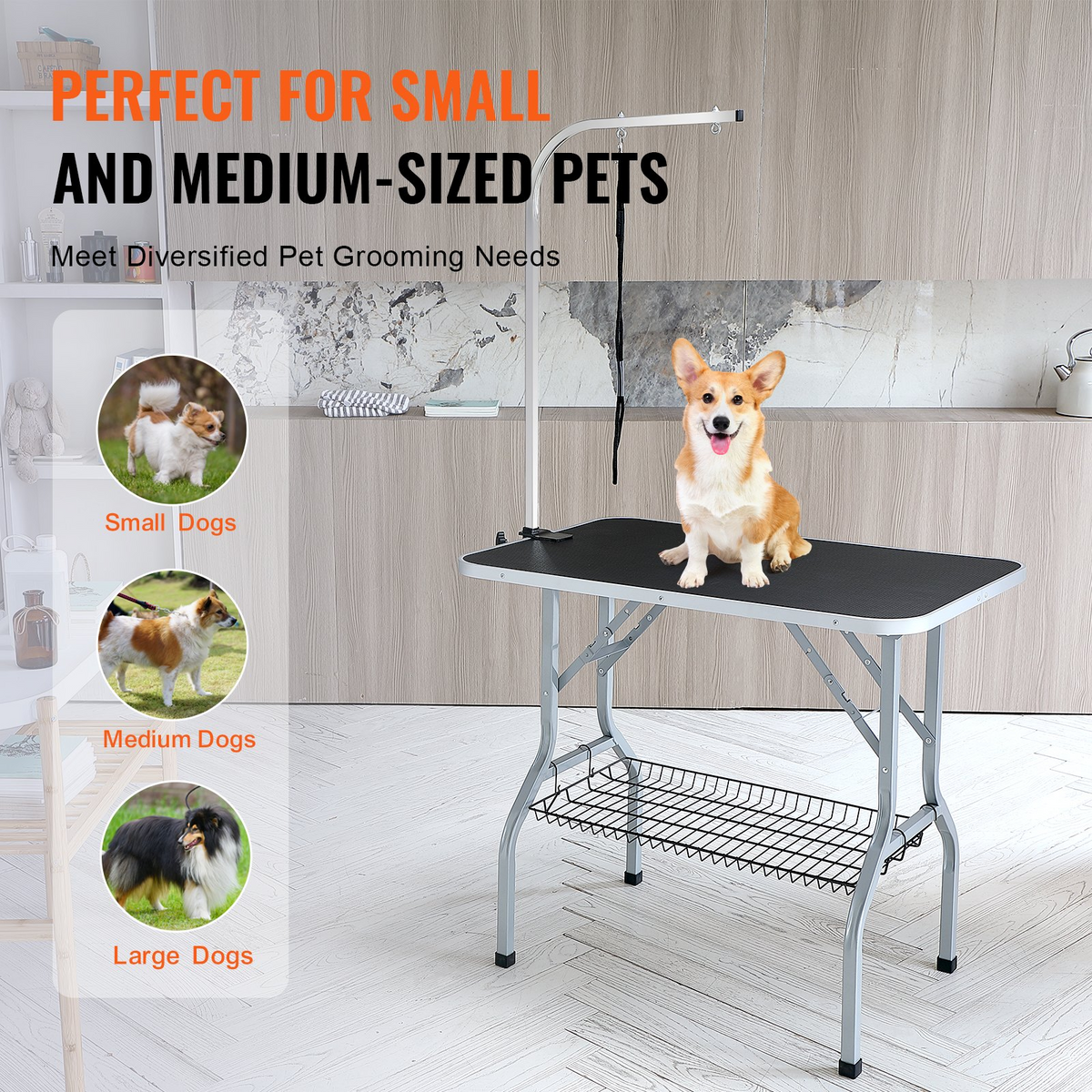 a dog sitting on a table