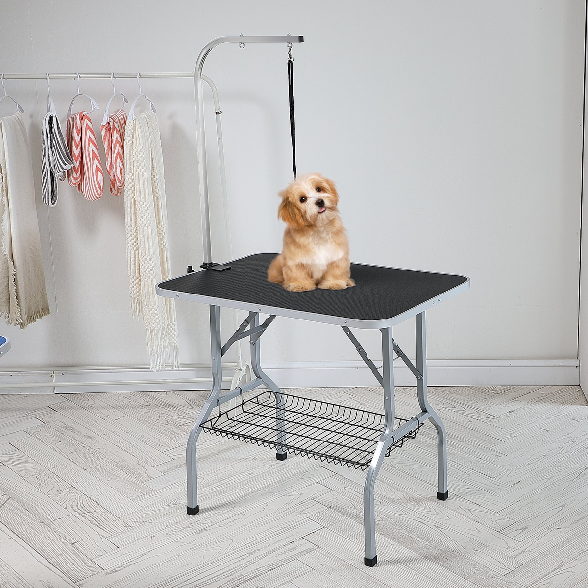 a dog sitting on a table