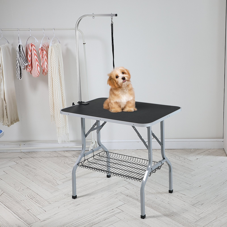a dog sitting on a table