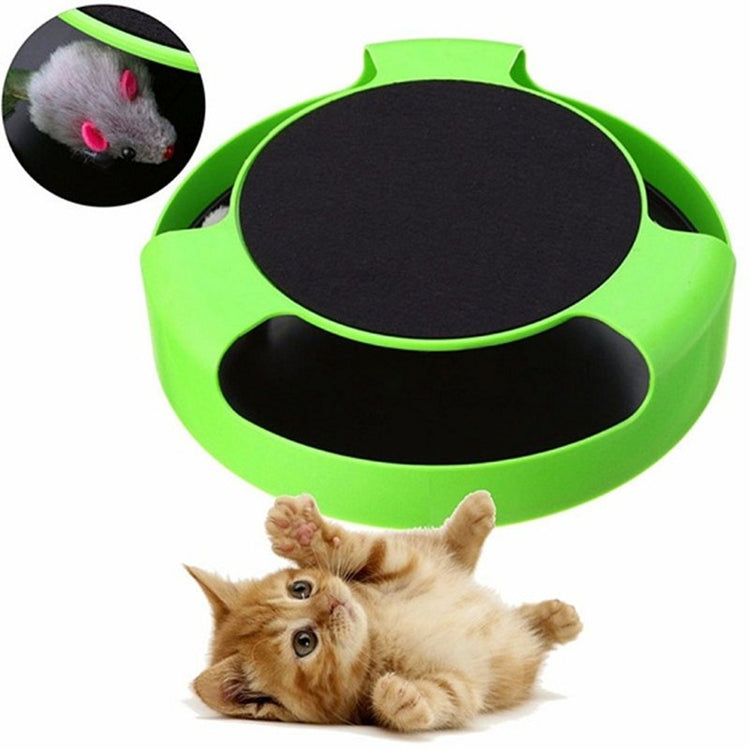 a cat lying on its back next to a green and black object