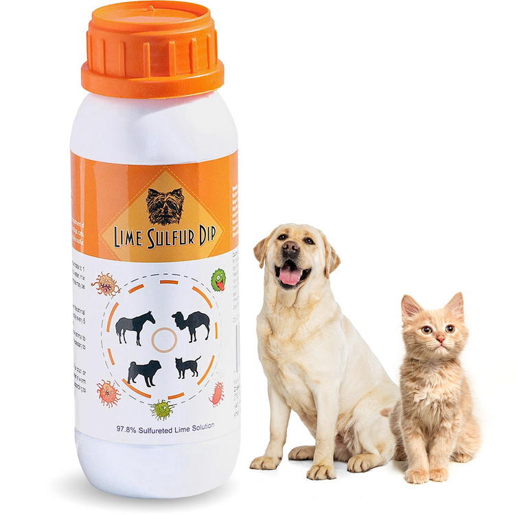 a cat and dog next to a bottle