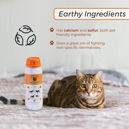 Lime Sulfur Dip Wholesale