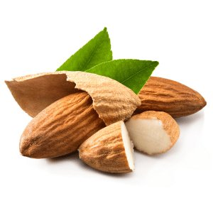 a group of almonds with leaves