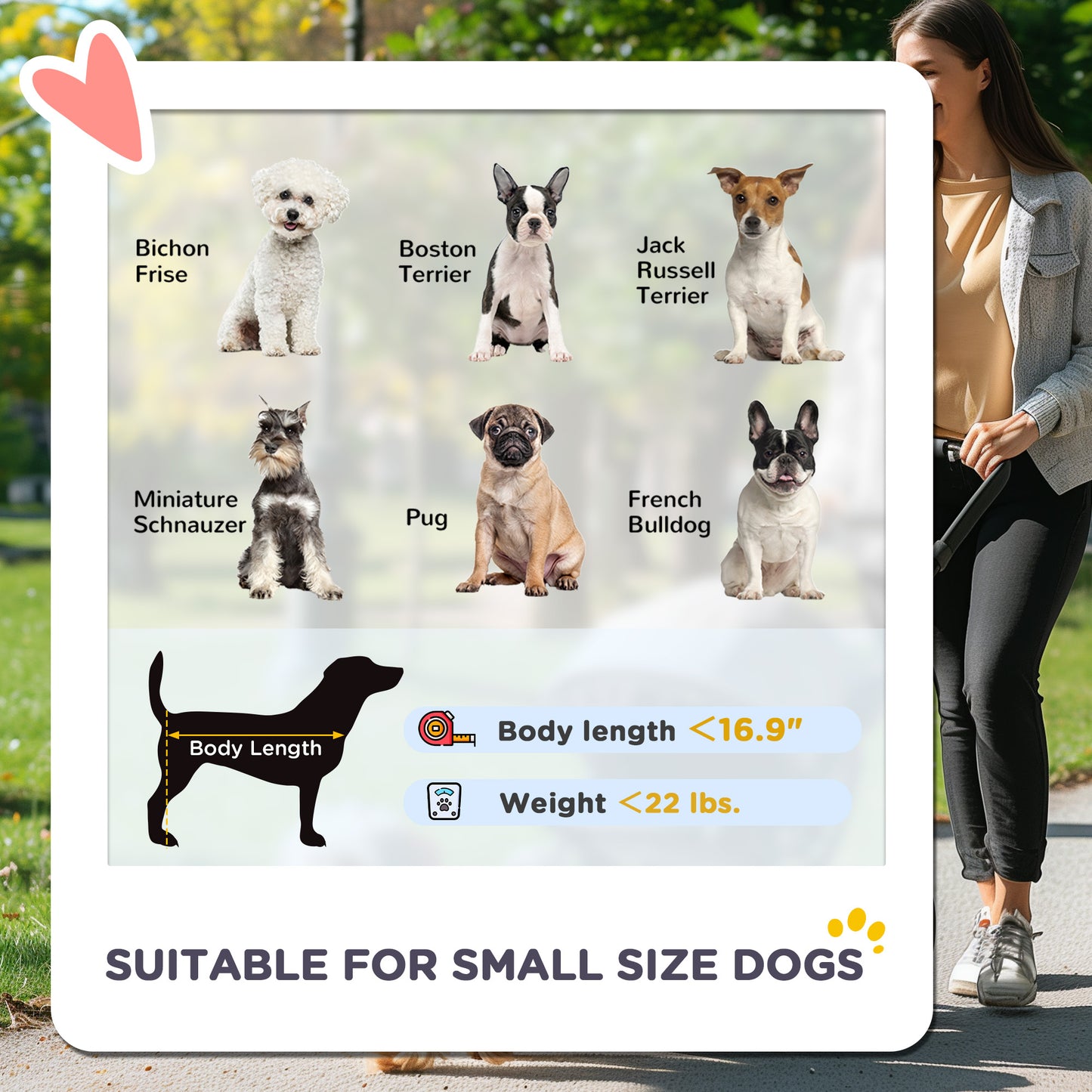 1 Pet Jogging Stroller for Small Dogs and Cats with Detachable Carrier