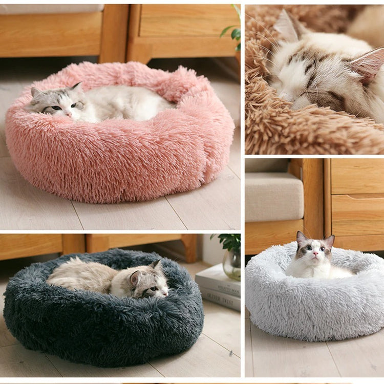 a cat lying in a round bed