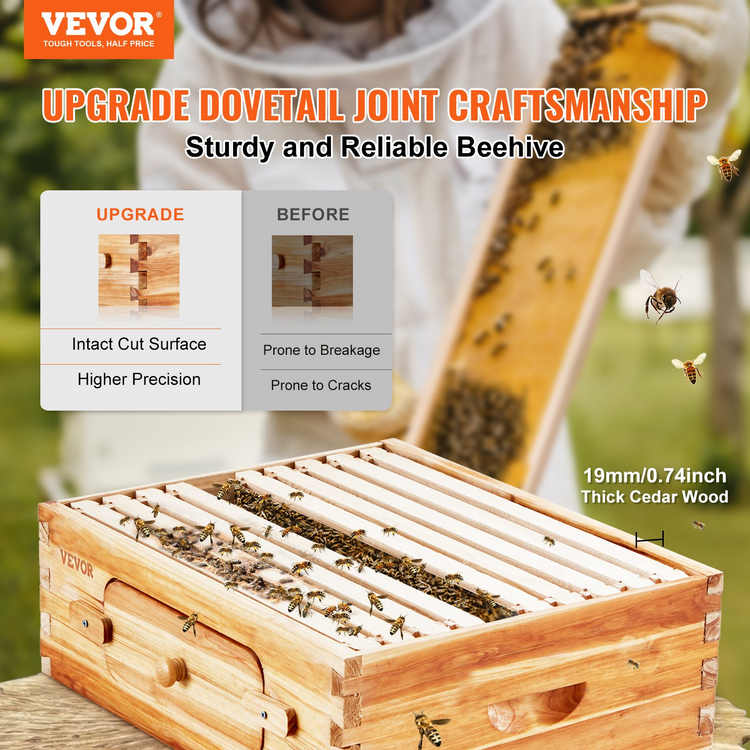 a woman holding a wooden box with bees
